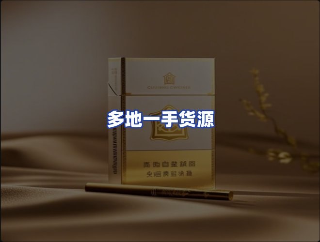 专业团队